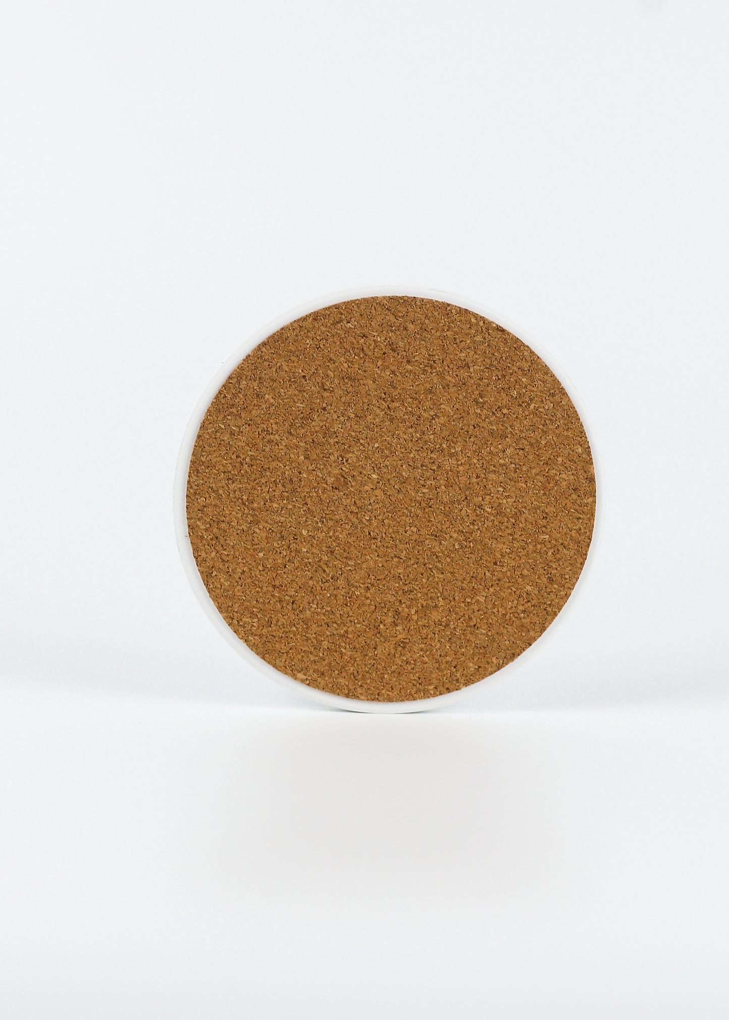 Hidden Full House Coaster - Boy