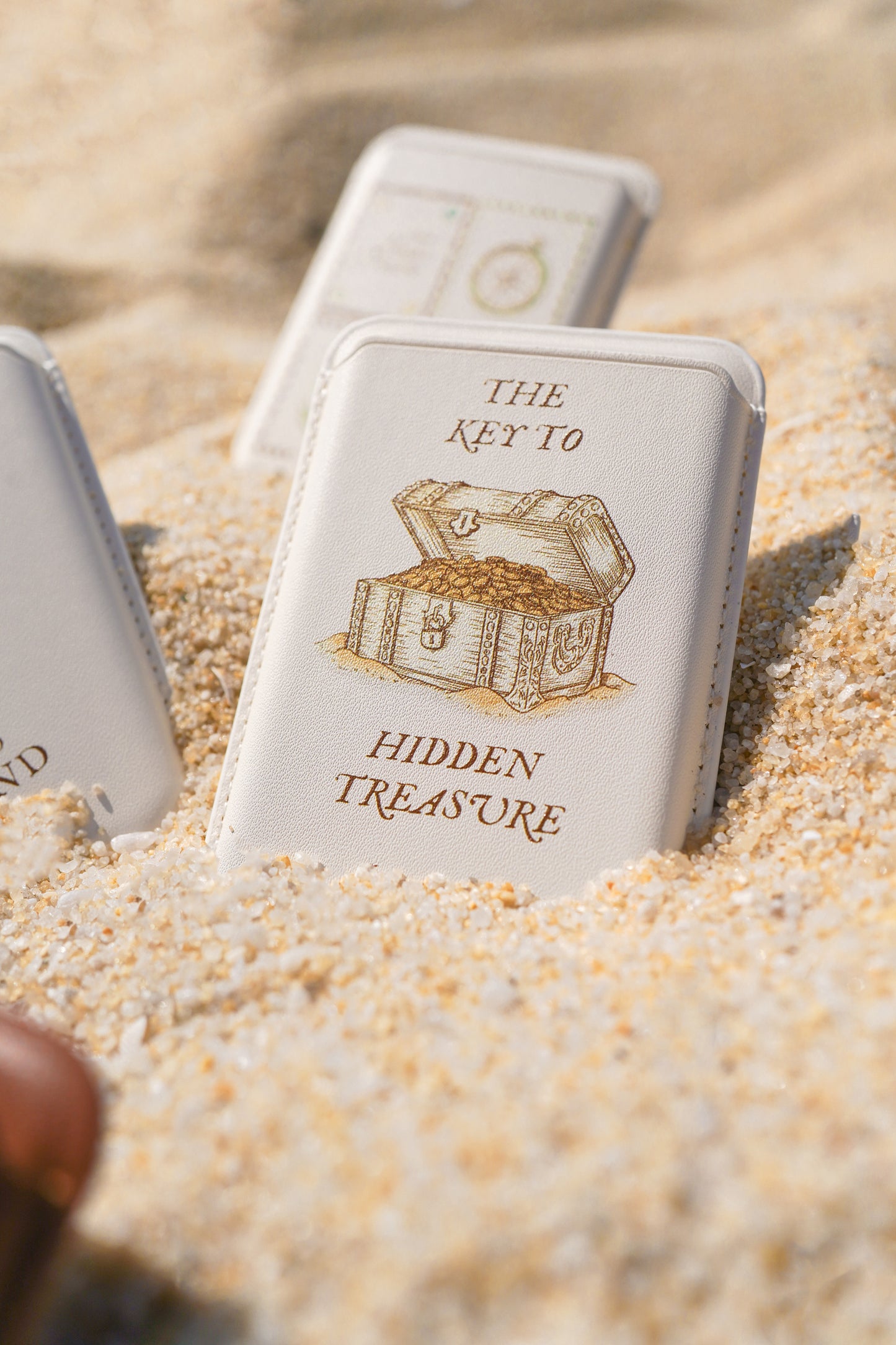 Hidden Treasure Magsafe Cardholder